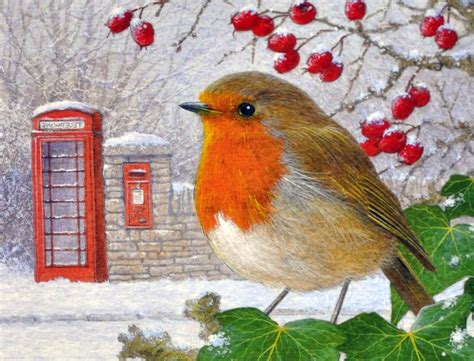 christmas robin | Christmas bird, Christmas art, Christmas illustration