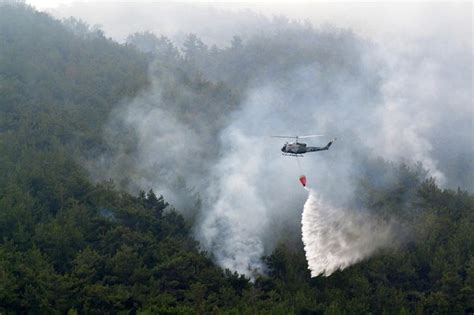 Lebanon pine forest blaze begins wildfire season | Arab News PK