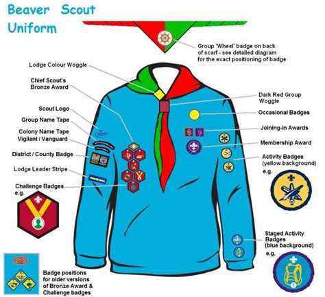 Beavers Uniform and Badges – 6th Torbay Britannia