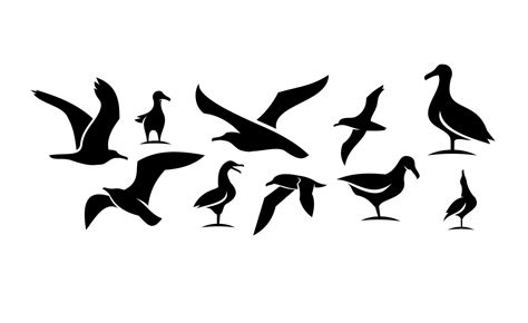 Set collection of seagull black vector icon design illustration 2373404 ...