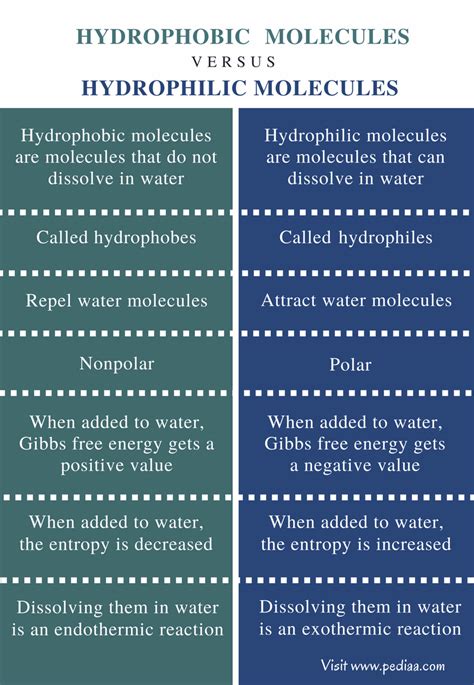 Difference Between Hydrophobic and Hydrophilic Molecules | Definition, Properties, Examples