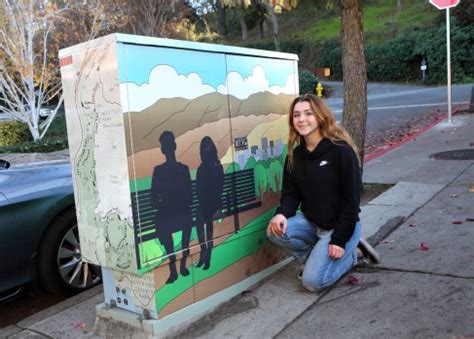 Los Gatos seeks public art designs celebrating diversity, inclusion