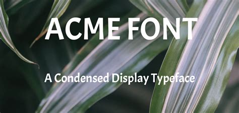 Acme Font Free Download