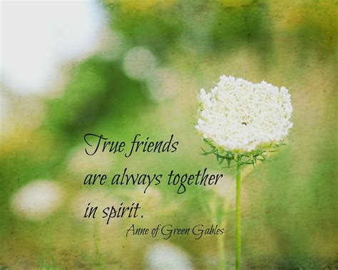 Anne Of Green Gables Quotes - ShortQuotes.cc