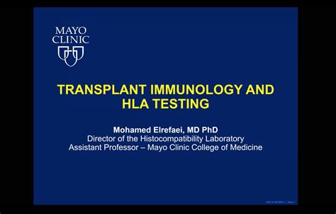 Transplant immunology and HLA testing - Mayo Clinic