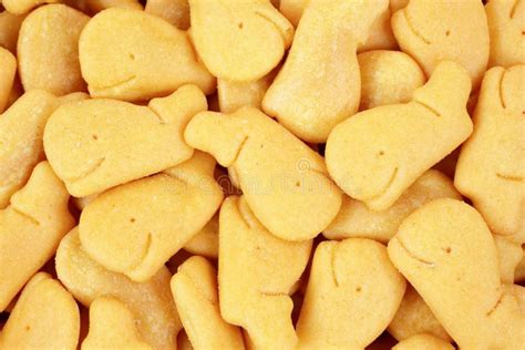 Whale Shaped Cheese Crackers Up Close Stock Photos - Image: 26789853