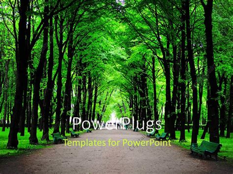 PowerPoint Template: forest with huge green trees and benches (15024)