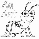 Ant Coloring Page Pdf sketch template
