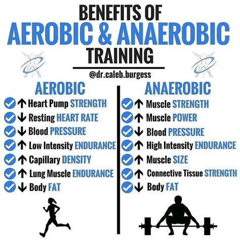 What Are Three Examples Of Anaerobic Exercises - Cardio for Weight Loss