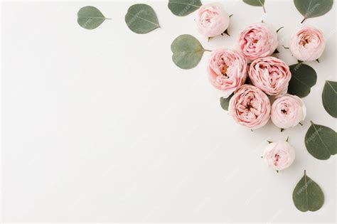 Premium Photo | White copy space background with roses and leaves