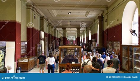 Inside the Egyptian Museum in Cairo Editorial Image - Image of egyptian ...