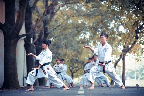 Différence entre le karaté et le kung-fu, que retenir