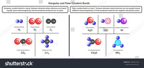 Nonpolar and Polar Covalent Bonds infographic diagram with examples of ...