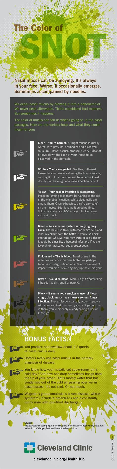 What color does snot mean – The Meaning Of Color