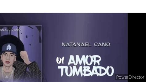 Amor Tumbado (Lyrics) - YouTube