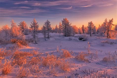 Winter sunset in Russia · free photo