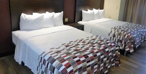 two beds in a hotel room with white and brown bedding