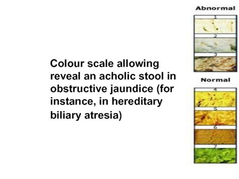 The gastrointestinal tract clinical study