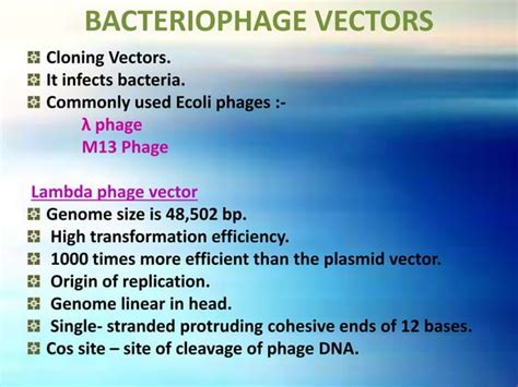 Molecular Cloning - Vectors: Types & Characteristics | PPT