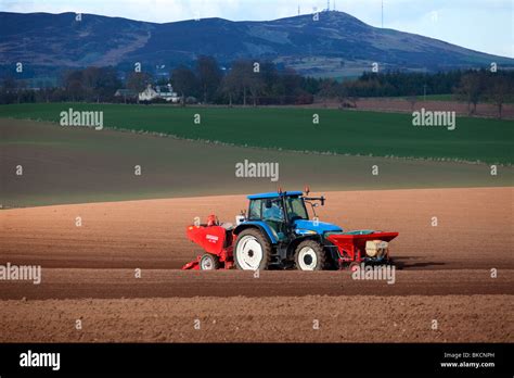 Furrow irrigation & cultivation methods used in Potato Farming; Grimme GL 32 B De-stoning ...