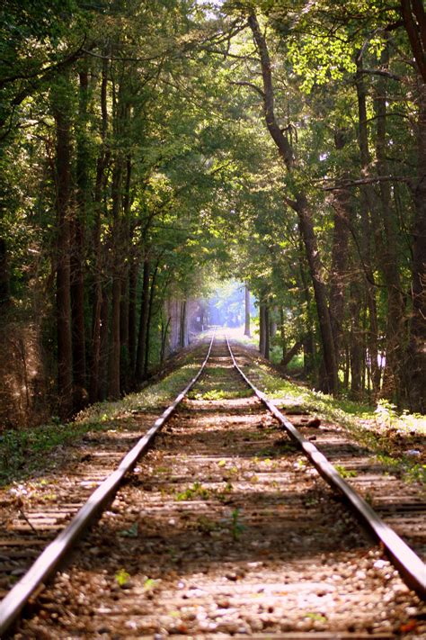 Stone Mountain Railroad by harbingerdawn on DeviantArt