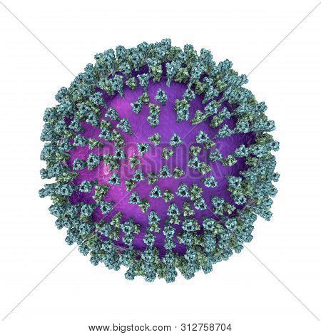 Measles Virus. 3d Image & Photo (Free Trial) | Bigstock