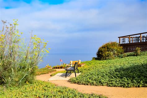 Torrey Pines Gliderport - Soar Over the Skies of San Diego on a ...