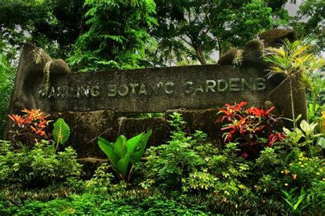 Makiling Botanic Gardens (Los Banos) - 2021 All You Need to Know BEFORE You Go (with Photos ...