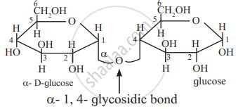 Draw a neat diagram for the following: Haworth formula of maltose - Chemistry | Shaalaa.com