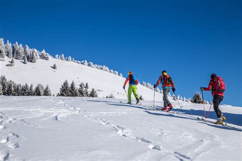 Ski slopes in Folgaria - Folgaria ski resort - Ski Areas - Alpine skiing