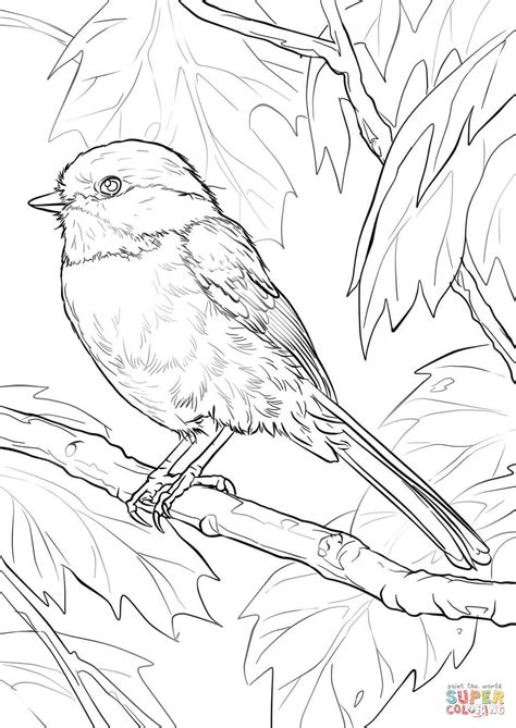 Black-Capped Chickadee coloring page | Free Printable Coloring Pages