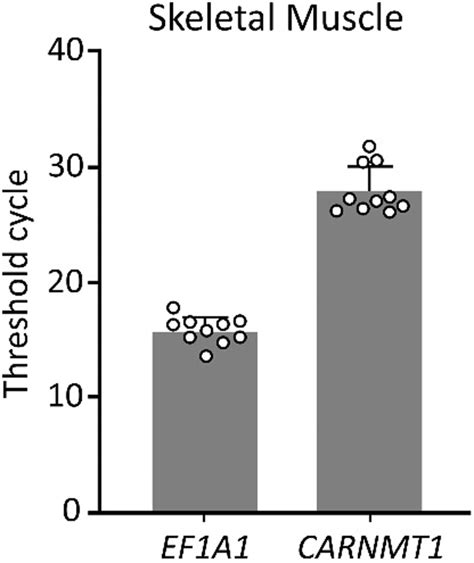 Anserine is expressed in human cardiac and skeletal muscles - Souza ...