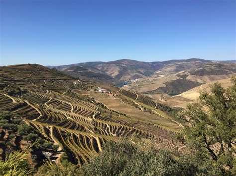 Douro Valley Wonders – AskTheSomm