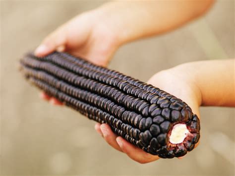 Purple Corn: The Nutritional Powerhouse You've Never Seen - Back to the Roots Blog