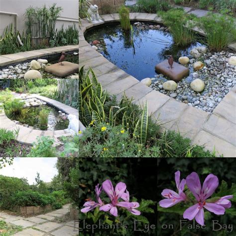 False Bay garden and water in July