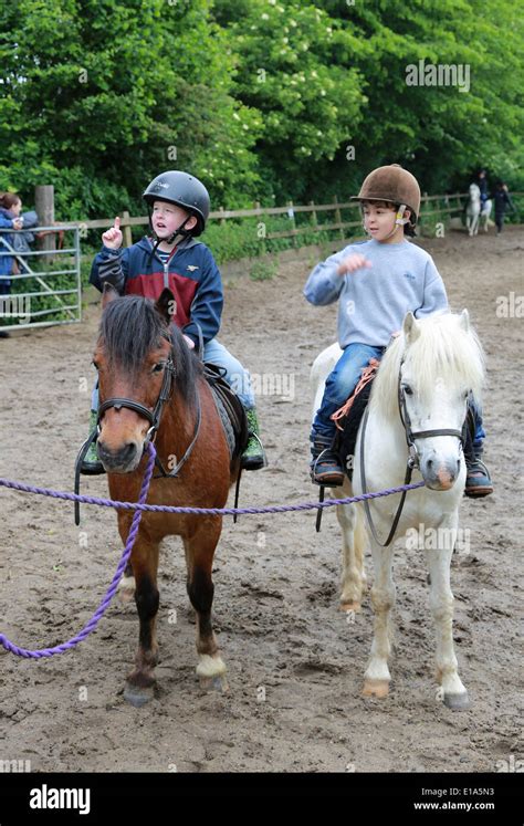 Horse riding lessons Stock Photo - Alamy