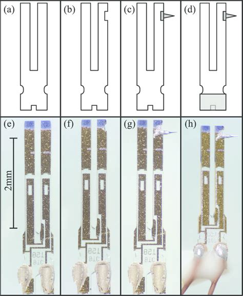 Schematic of retuned fork sensor fabrication. (a) A typical quartz ...