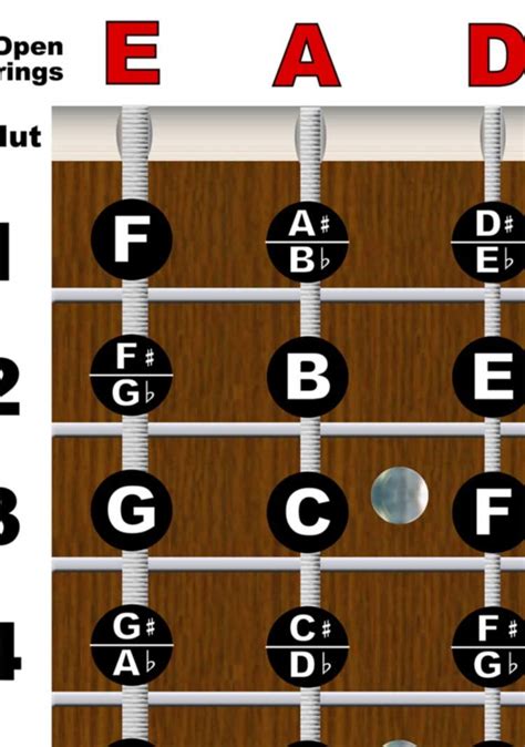 4 String Bass Fretboard Poster Nashville Numbering System Circle of 5ths Instructional Notes ...