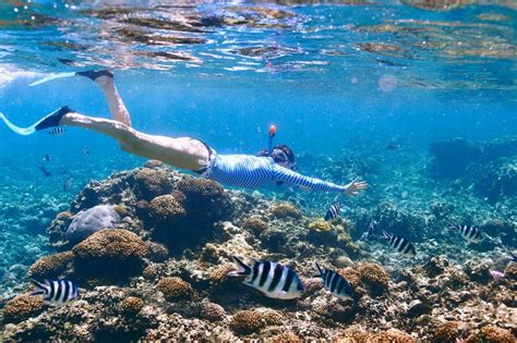 5 of the Best Oahu Snorkeling Spots - Private Homes Hawaii