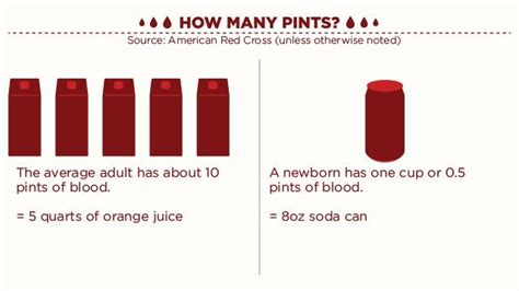 How Many Pints Of Blood Can You Donate