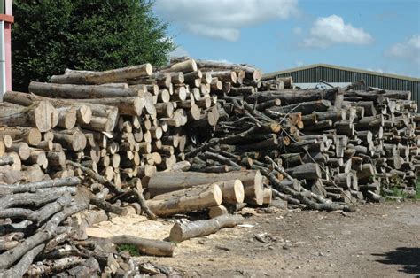 Seasoned Firewood Logs Somerset | Your Local Logs