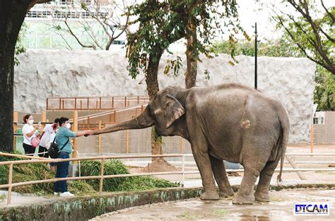 Balik Tanaw sa Manila Zoo