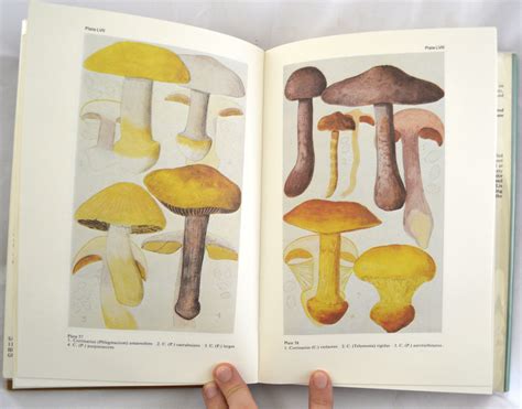 COMMON BRITISH FUNGI by E M WAKEFIELD AND R W G DENNIS - Hardcover - 2nd Edition - 1981 - from E ...