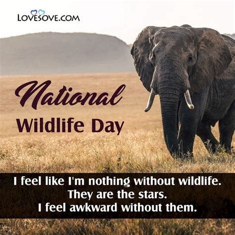 National Wildlife Day Status, Quotes, Thought, Wishes & Images