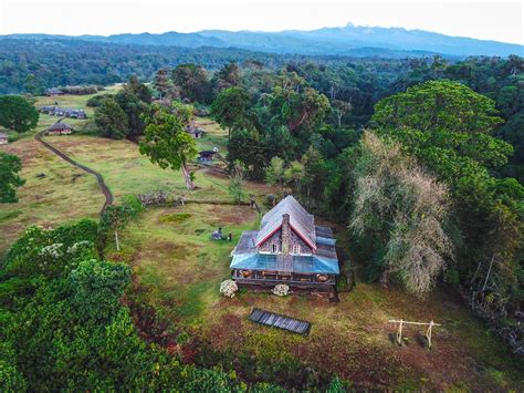 Castle Forest Lodge, Kenya