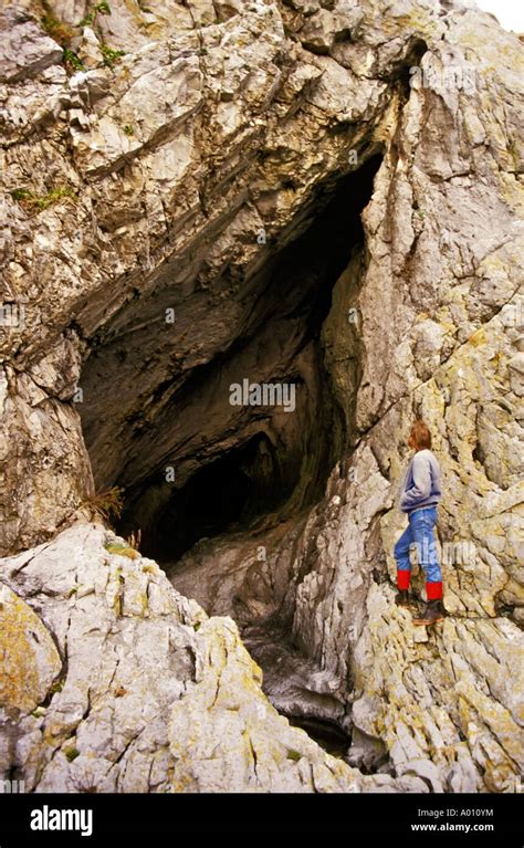 Entrance to Paviland Cave where "Red Lady" skeleton was found Gower South Wales UK Stock Photo ...