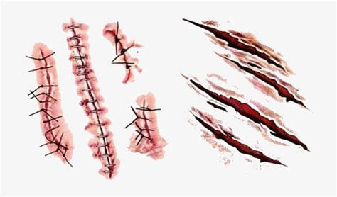 Scar Tattoo Hand Painted - Realistic Scar PNG Image | Transparent PNG Free Download on SeekPNG