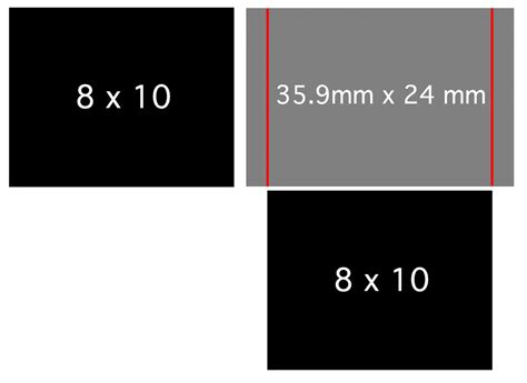 Easy way to determine 8x10-5x7 aspect ratio when taking photo - FM Forums