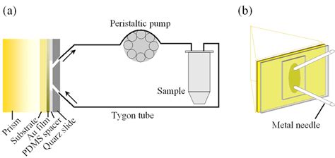 Schematic of the flow cell used in this study. | Download Scientific Diagram