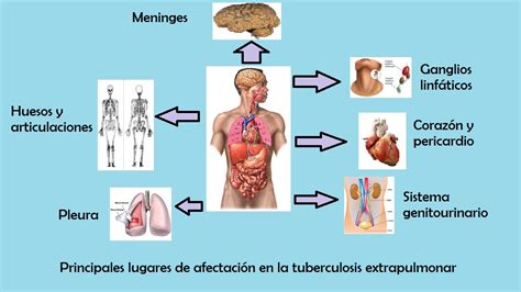 - MEDICINA INTERNA FASE 2